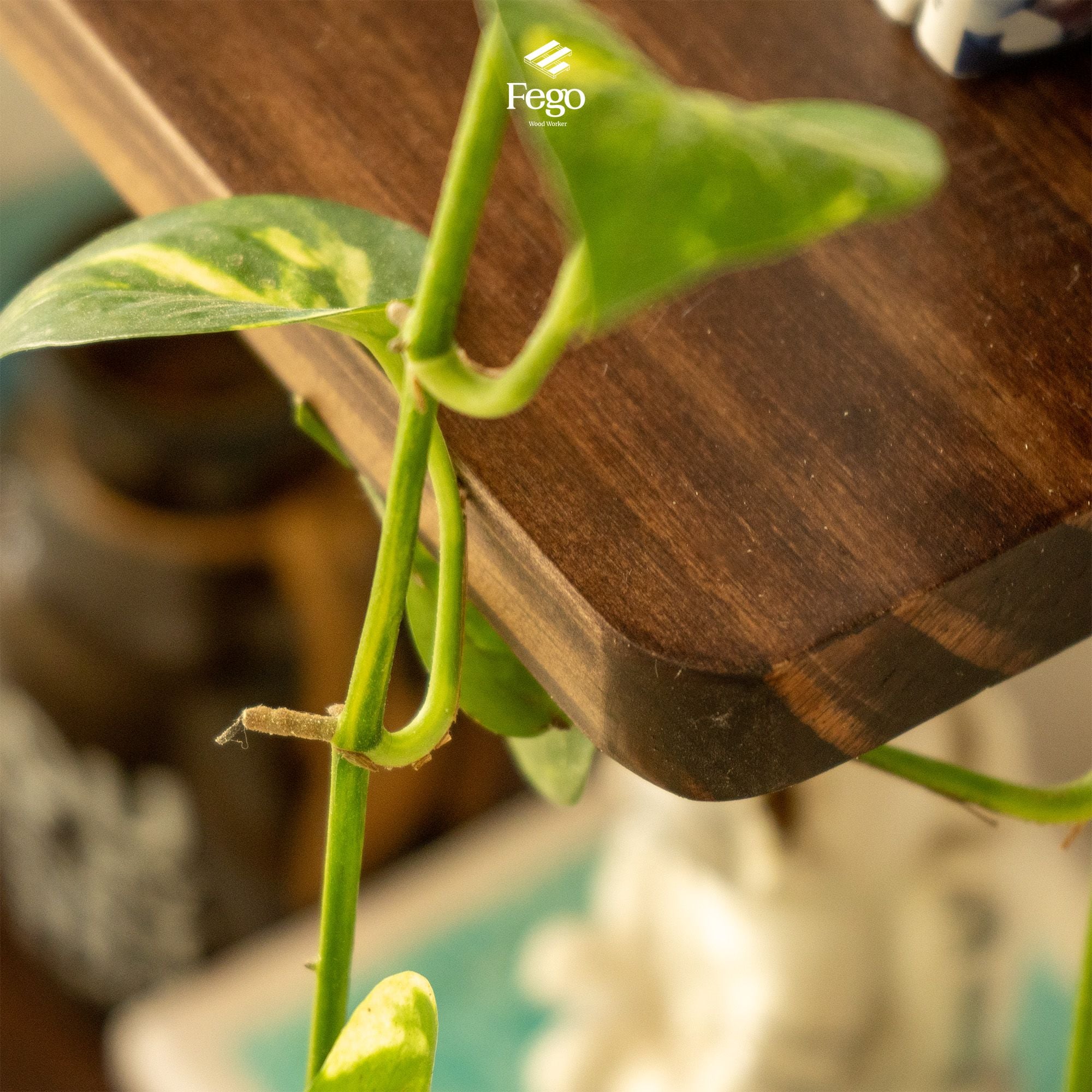  Kệ thang 4 tầng gỗ thông tự nhiên kết hợp chân đế chắc chắn, Kệ để sách, đồ trưng bày trang trí phòng khách , phòng làm việc 