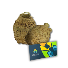 Imported Fruit and Vegetables