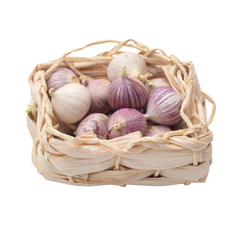 Solo Garlic