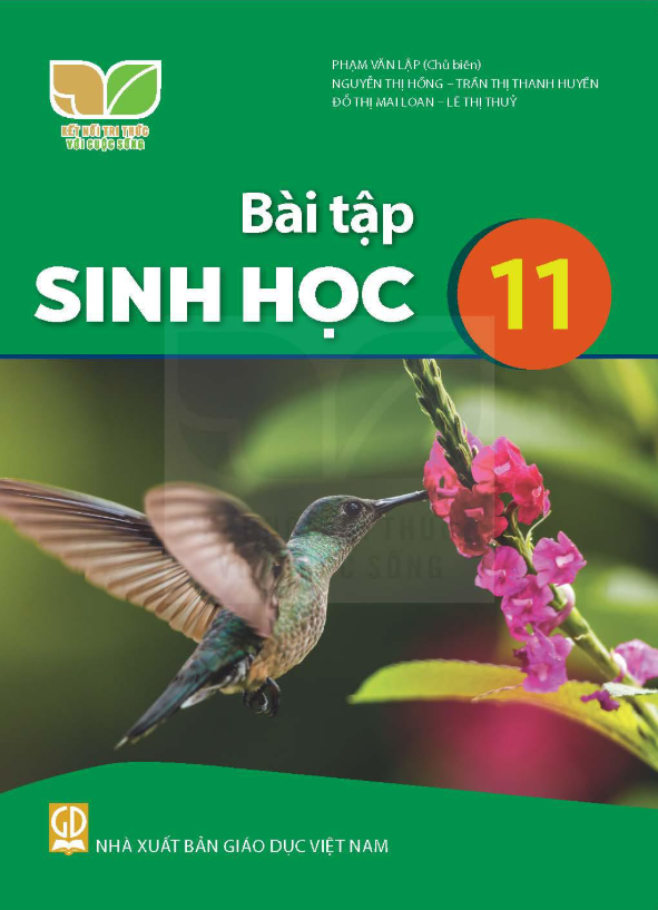  Sách bài tập Sinh học 11 - Kết nối tri thức với cuộc sống 