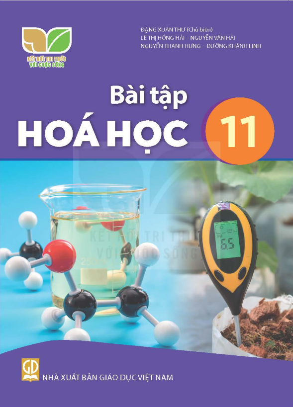  Sách bài tập Hóa học 11 - Kết nối tri thức với cuộc sống 