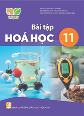  Sách bài tập Hóa học 11 - Kết nối tri thức với cuộc sống 