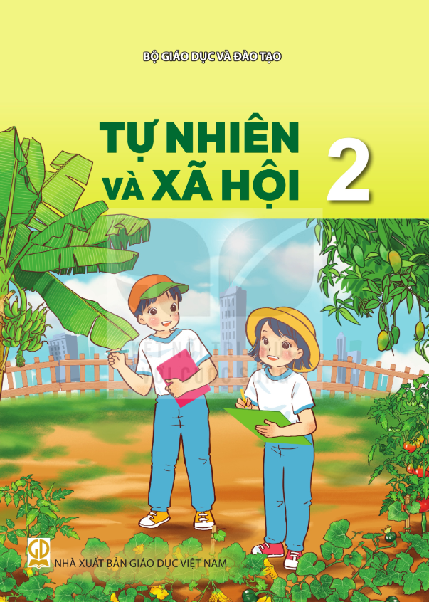  Sách giáo khoa Tự nhiên xã hội 2 