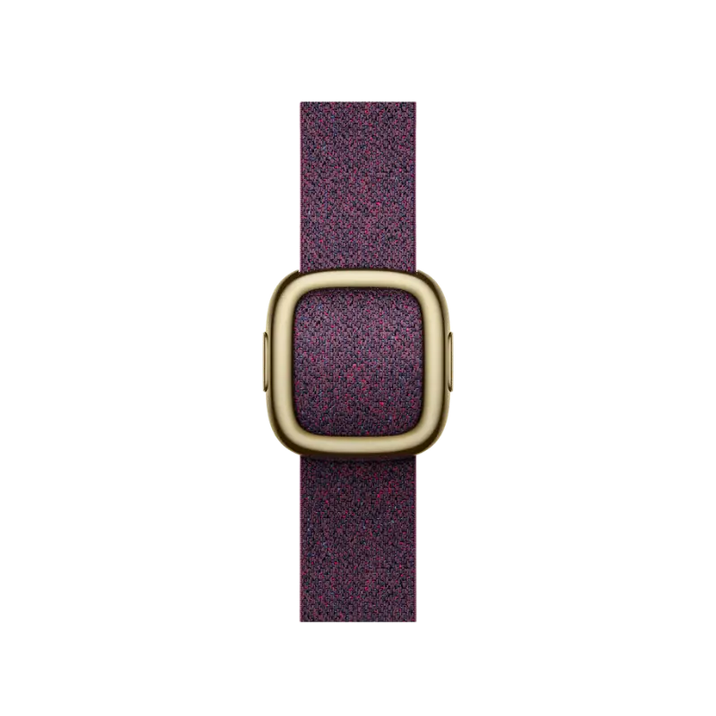  Dây Apple Watch Modern Buckle 42mm 