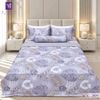  Bộ Chăn Ga Lụa Tencel Coolsilk TCS2875 