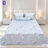  Bộ Chăn Ga Lụa Tencel Coolsilk TCS2872 