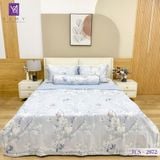  Bộ Chăn Ga Lụa Tencel Coolsilk TCS2872 