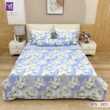  Bộ Chăn Ga Lụa Tencel Coolsilk TCS2873 