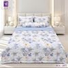  Bộ Chăn Ga Lụa Tencel Coolsilk TCS2877 