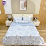  Bộ Chăn Ga Lụa Tencel Coolsilk TCS2872 