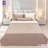  Bộ Chăn Ga Lụa Tencel Coolsilk TCS2840 
