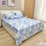  Bộ Chăn Ga Lụa Tencel Coolsilk TCS2873 