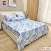  Bộ Chăn Ga Lụa Tencel Coolsilk TCS2873 