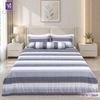  Bộ Chăn Ga Lụa Tencel Coolsilk TCS2869 