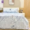  Bộ Chăn Ga Lụa Tencel Coolsilk TCS2872 