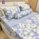  Bộ Chăn Ga Lụa Tencel Coolsilk TCS2873 