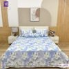  Bộ Chăn Ga Lụa Tencel Coolsilk TCS2873 
