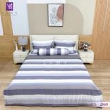 Bộ Chăn Ga Lụa Tencel Coolsilk TCS2869 