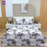  Bộ Chăn Ga Lụa Tencel Coolsilk TCS2870 