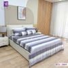  Bộ Chăn Ga Lụa Tencel Coolsilk TCS2869 