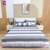  Bộ Chăn Ga Lụa Tencel Coolsilk TCS2869 