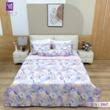  Bộ Chăn Ga Lụa Tencel Coolsilk TCS2867 