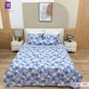  Bộ Chăn Ga Cotton Lụa Satin Easy Care CTS555 