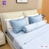  Bộ Chăn Ga Lụa Tencel Silk Protein TSP4143 