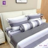  Bộ Chăn Ga Lụa Tencel Coolsilk TCS2869 