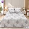  Bộ Chăn Drap 5 Món Băng Lạnh BL02 