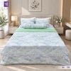  Bộ Chăn Drap 5 Món Băng Lạnh BL08 