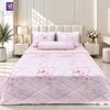  Bộ Chăn Drap 5 Món Băng Lạnh BL09 