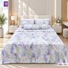 Bộ Chăn Drap 5 Món Băng Lạnh BL03 