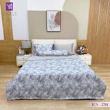  Bộ Chăn Ga Lụa Tencel Coolsilk TCS2781 