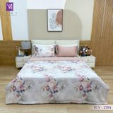  Bộ Chăn Ga Lụa Tencel Coolsilk TCS2784 