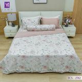  Bộ Chăn Ga Lụa Tencel Coolsilk TCS2782 