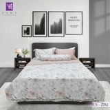  Bộ Chăn Ga Lụa Tencel Coolsilk TCS2782 