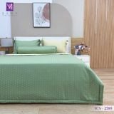  Bộ Chăn Ga Lụa Tencel Coolsilk TCS2789 