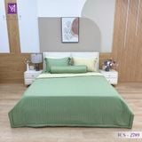  Bộ Chăn Ga Lụa Tencel Coolsilk TCS2789 