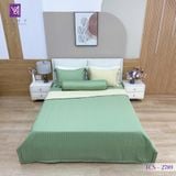  Bộ Chăn Ga Lụa Tencel Coolsilk TCS2789 