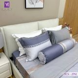  Bộ Chăn Ga Lụa Tencel Coolsilk TCS2792 
