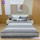  Bộ Chăn Ga Lụa Tencel Coolsilk TCS2793 