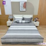  Bộ Chăn Ga Lụa Tencel Coolsilk TCS2793 
