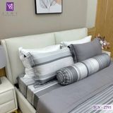  Bộ Chăn Ga Lụa Tencel Coolsilk TCS2793 
