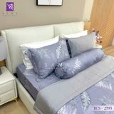 Bộ Chăn Ga Lụa Tencel Coolsilk TCS2795 
