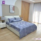  Bộ Chăn Ga Lụa Tencel Coolsilk TCS2795 