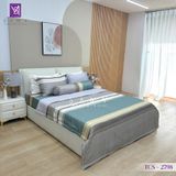  Bộ Chăn Ga Lụa Tencel Coolsilk TCS2798 