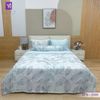  Bộ Chăn Ga Lụa Tencel Coolsilk TCS2799 
