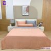  Bộ Chăn Ga Lụa Tencel Coolsilk TCS2800 