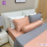  Bộ Chăn Ga Lụa Tencel Coolsilk TCS2800 